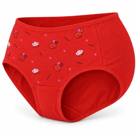 Women’s Cartoon Print Full Coverage Stretch Briefs — 