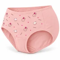Women’s Cartoon Print Full Coverage Stretch Briefs photo 1