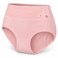 Women’s High Waist Full Coverage Stretch Briefs with Striped Waistband photo 4