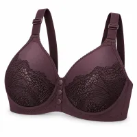 Plum Lace Bra with Front Snap Closure photo 1